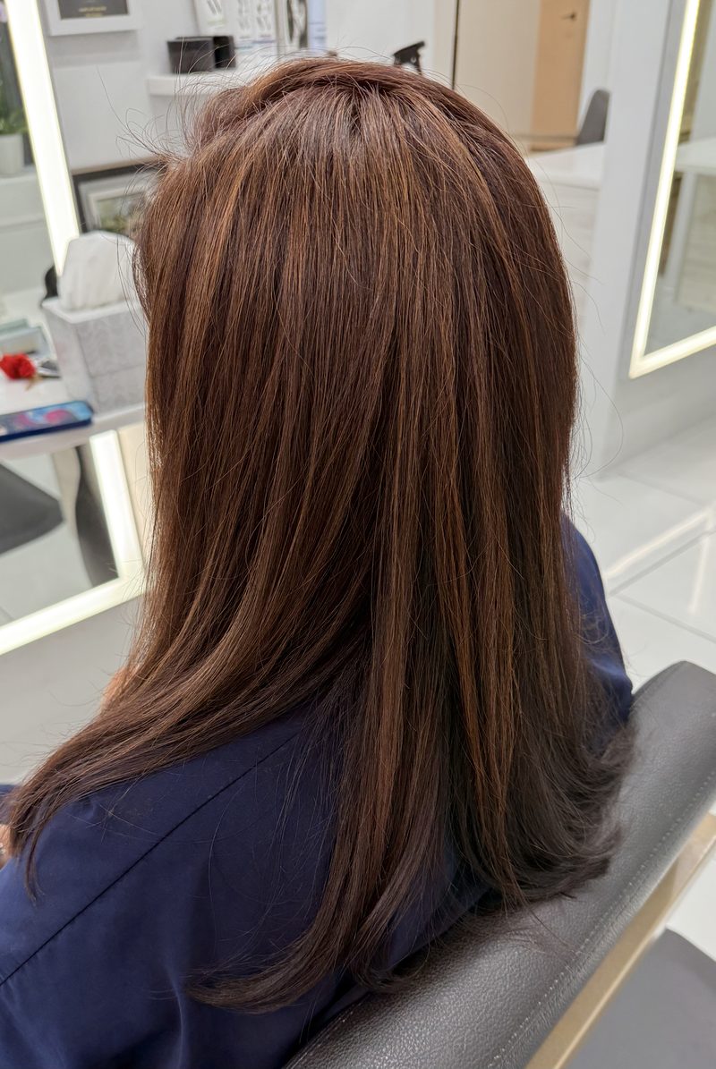 Long brunette with dimensional caramel highlights